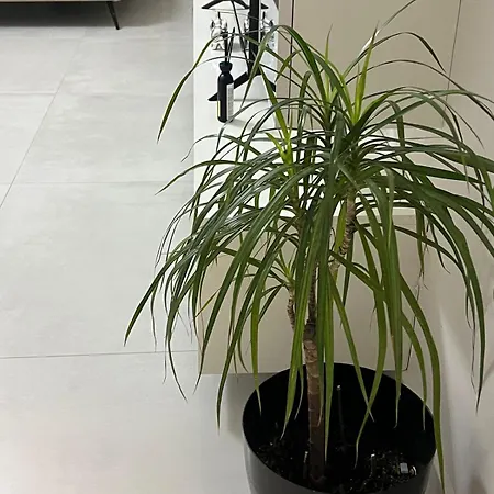 La Perle Urbaine Apartment *